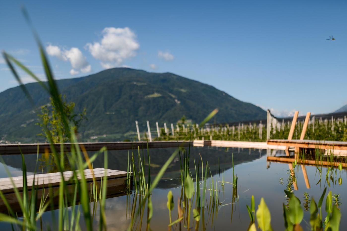 Pataunerhof Tirol Екстериор снимка