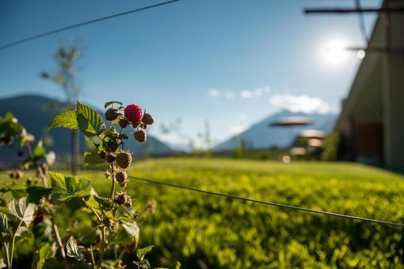 Pataunerhof Tirol Екстериор снимка